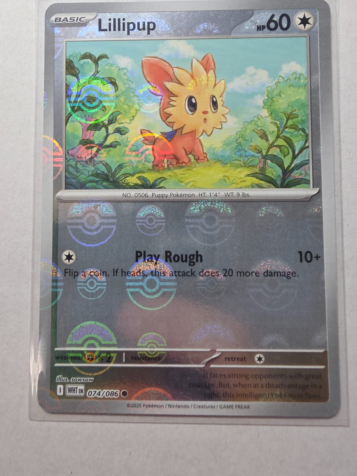 Lillipup 074/086 NM – Poké Ball Reverse Holo – 2025 Pokémon TCG S&V White Flare