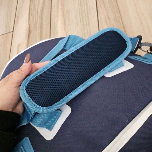 Disney Wish Cruise Line Inaugural Nylon Cooler Tote Bag 14"x12"x 8" - Picture 10 of 11