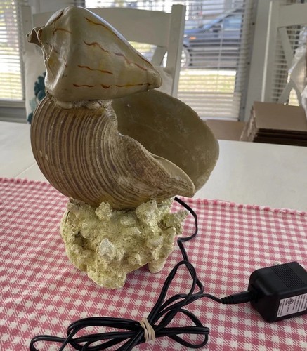 Seashell Fountain 11” Works - Picture 2 of 7