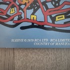 Picture 4 of 8