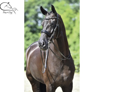 Busse Patent "Massa" Double Bridle Dressage Weymouth Shaped Padded Headpiece Busse Patent "Massa" Double Bridle Dressage Weymouth Shaped Padded Headpiece