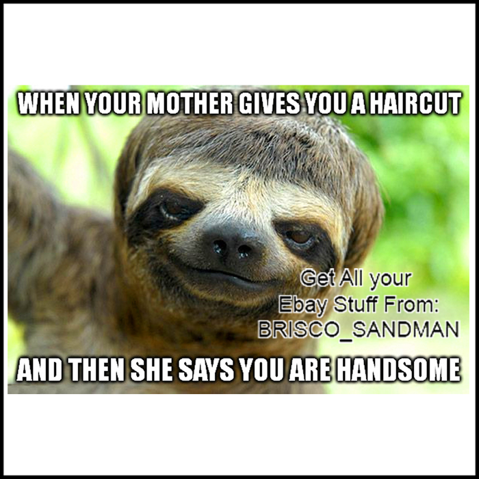 Fridge Fun Refrigerator Magnet HANDSOME SLOTH MOTHER HAIRCUT Funny 