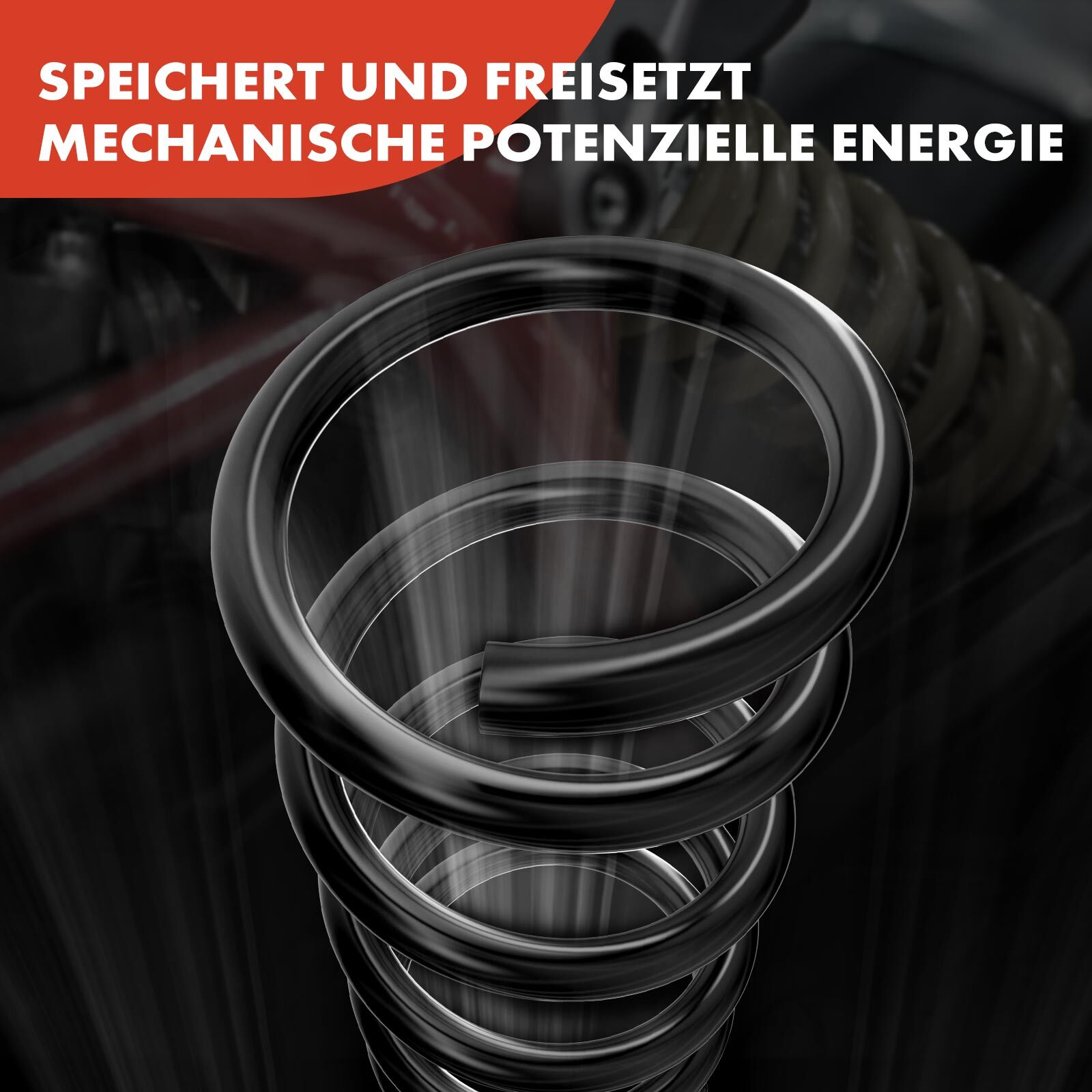 Bild 7 von 8