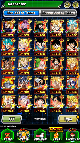dokkan battle global account - Foto 24 di 24
