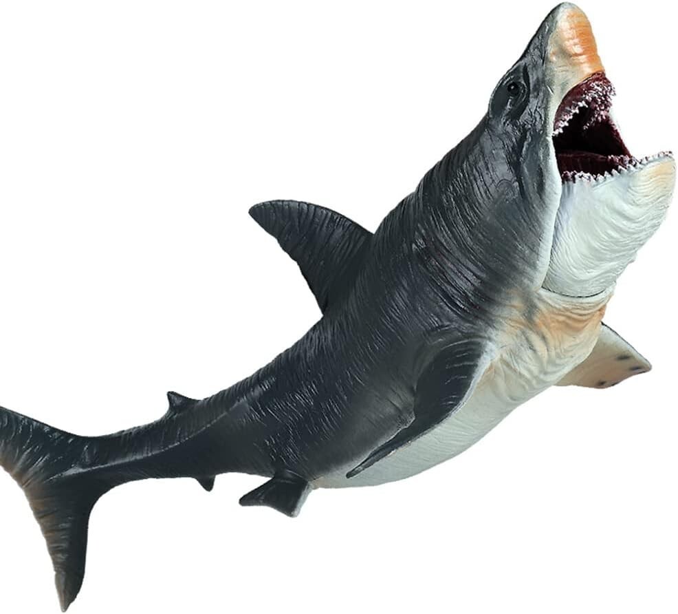 Big Megalodon Action Figure Toy Favorite Characters Collectible Model Toys Bath