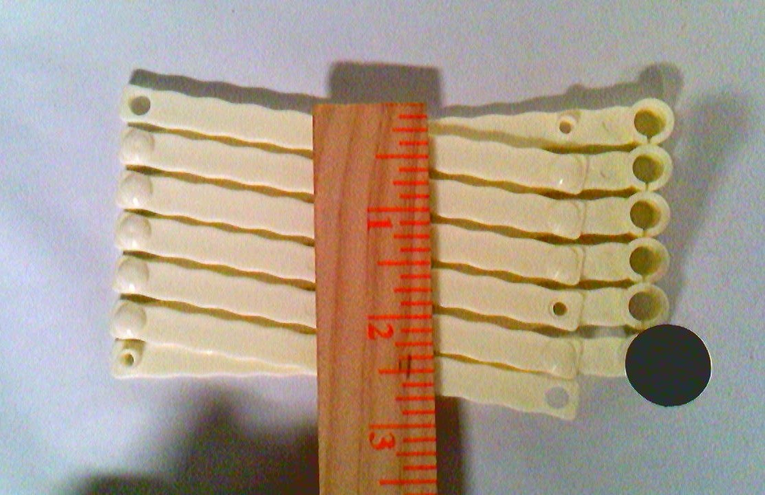 Picture 7 of 12