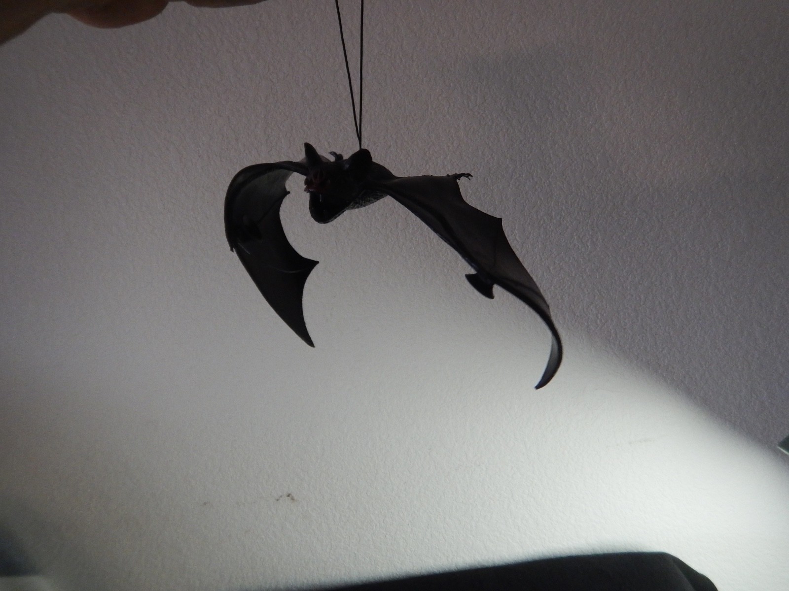 Picture 6 of 13