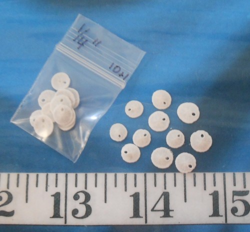 ~ Sand Dollars ~ 10 *MICRO* (1/4") ~ weiß ~ Shellcraft ~ Sailor's Valentines ~ - Bild 3 von 3