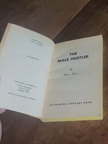 1966 Vintage THE MALE HUSTLER Gay Interest Pulp Paperback JOHNNY SHEARER 1st Ed. - Picture 8 of 10