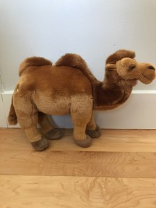 webkinz signature camel