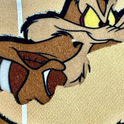 Looney Tunes Sweatshirt Hoodie Pullover Size Small Khaki Wile E. Coyote VTG - Picture 12 of 19
