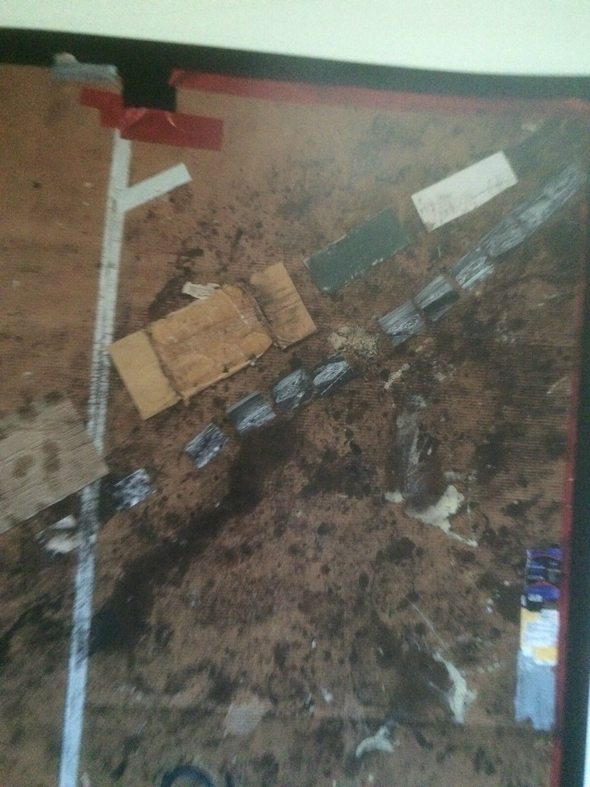 Picture 5 of 5
