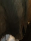 Bild 8 von 11