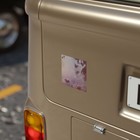 Bild 12 von 16