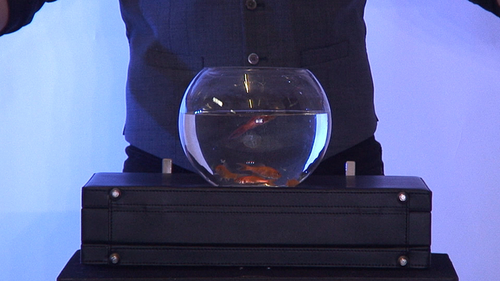 ULTIMATE BOWLING BALL FROM BRIEFCASE by Richard Griffin - Trick - Picture 2 of 2