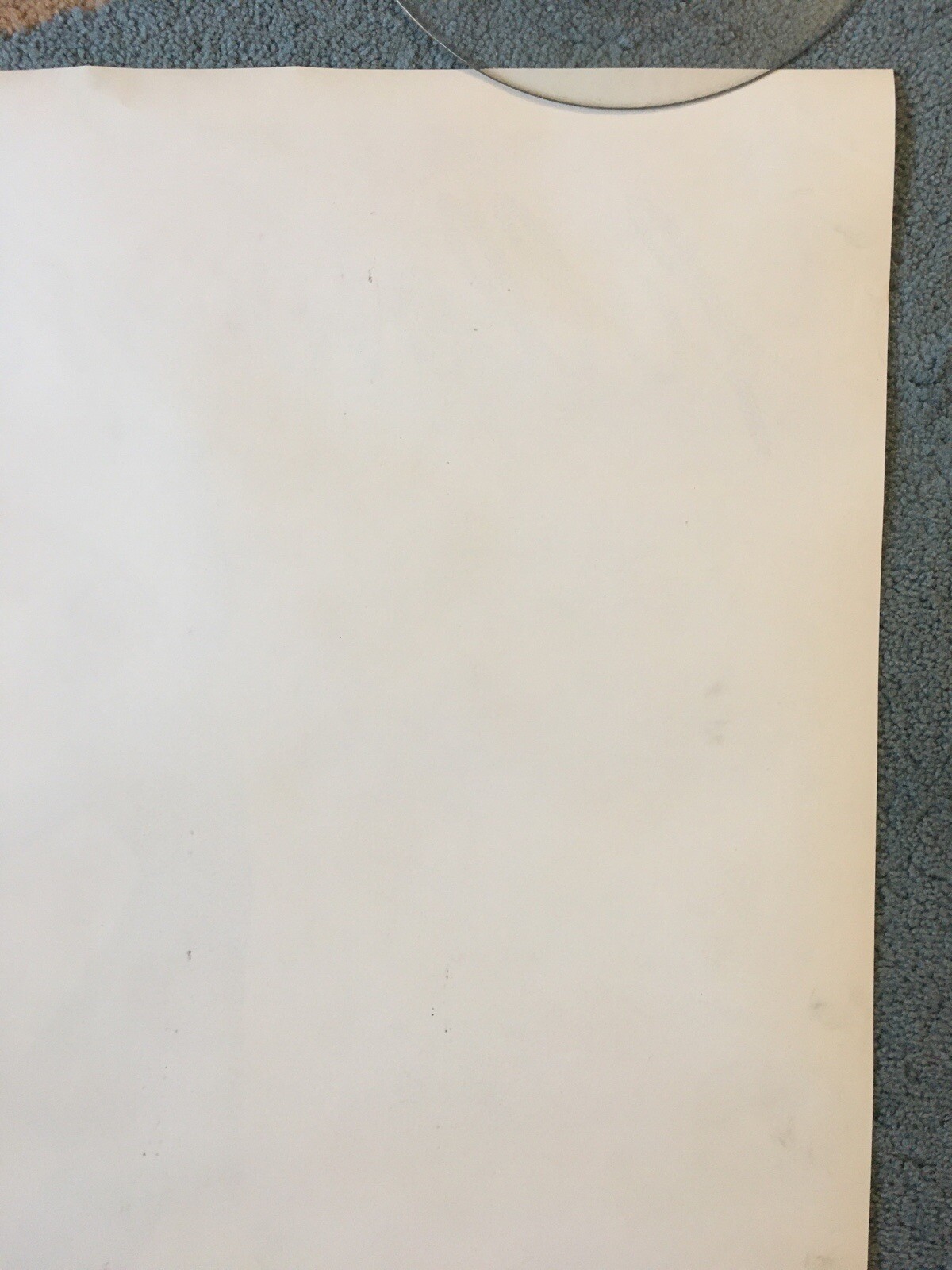 Picture 12 of 12