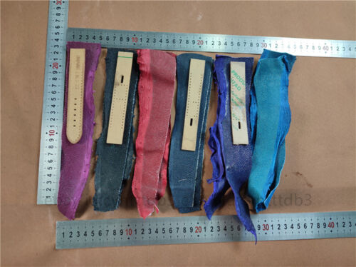 2PCS Real Stingray Shagreen Skin Leather Hide Pelt Scraps Rawhide Off-Cuts Strip - Picture 4 of 22
