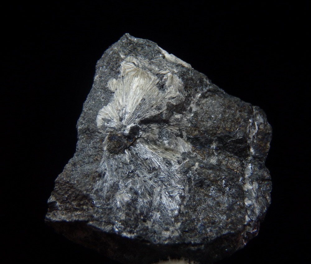 Picture 9 of 10