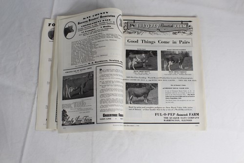 Guernsey Breeders Journal December 1, 1948 Cow Calf Bull Farms Cattle Dairy Ads - Imagen 14 de 21