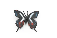 Butterfly Toy, Black, White, Blue, Red Realistic Figure, Model 2"   F4492