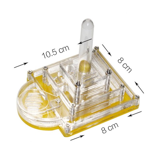 Ant Farm Habitat La Reproduction Des en ligne Insectes Boîte Insectes Transparent Boîte