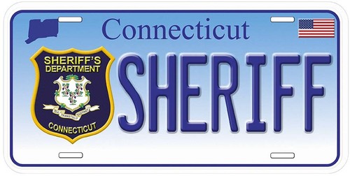 Placa de matrícula de coche Sheriff Star cualquier estado personalizada novedad - Imagen 11 de 54