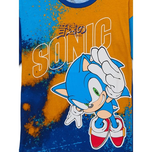 Sonic the Hedgehog Boy's Color Block Graphic Tee Size 2XL (18) - Picture 3 of 3