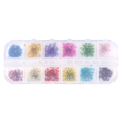 12Colors Nail Decoration Real Dried Flower Manicure Gel Tips Design Accessor TOU - Picture 5 of 10