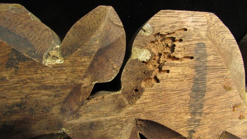 Vintage Hand Carved Wood Floral FLOWERS ARCHITECTURAL SALVAGE PEDIMENT Victorian - Picture 13 of 24