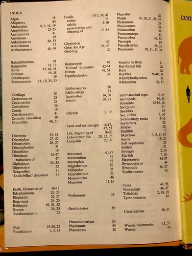 DINOSAURIER & PRÄHISTORISCHE TIERE ~ 1980ERer Jahre Wissenschaft Kinder Archäologie Buch - Bild 7 von 7