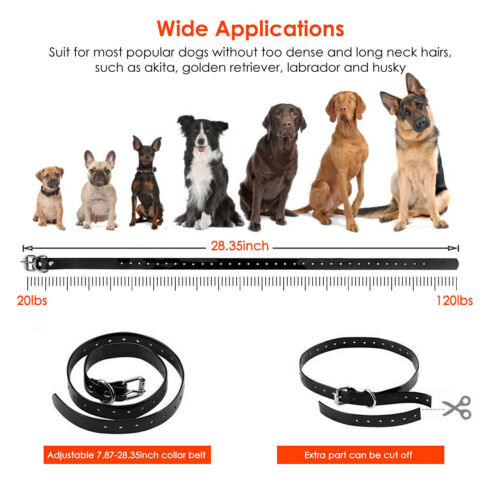 Hundetraining Elektrohalsband Wiederaufladbare Fernbedienung mit 1/2/3 Empfänger - Bild 12 von 15