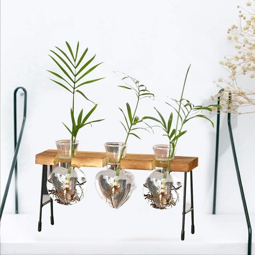 Florero de Terrario de Plantas, JarróN Transparente con Soporte de Madera, W2V9 - Imagen 2 de 6