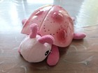 Bild 2 von 6