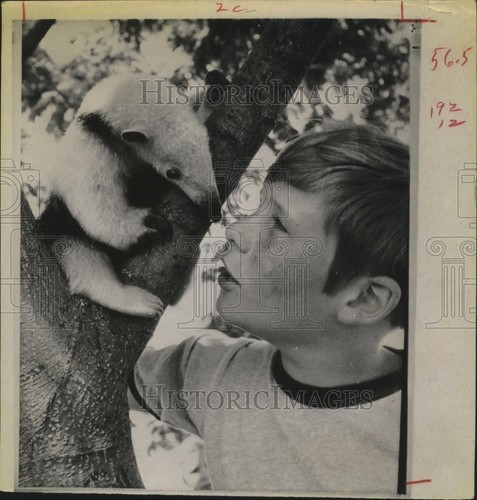 1969 Press Photo Fil Walters of Tulsa Oklahoma Nuzzles His Pet Anteater. - Picture 1 of 2