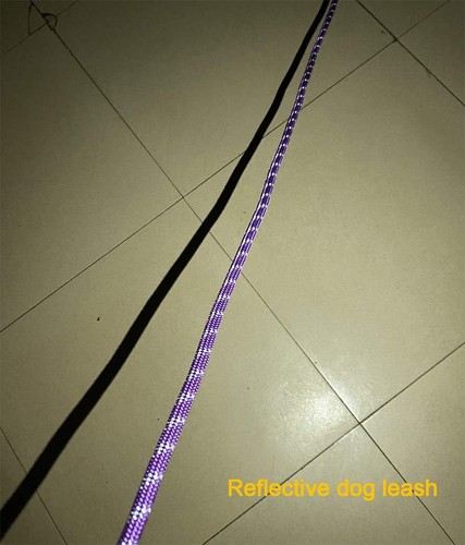 Langes Seil Hundeleine für Training 12 Fuß 20 Fuß 30 Fuß 50 Fuß, 10 mm * 12 Fuß, lila - Bild 7 von 7