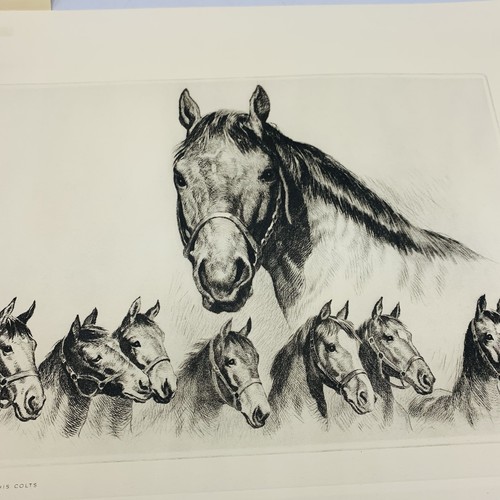 RH Palenske Art Print Seabiscuit & Some Of His Colts Rietz & Co Louisville KY - Picture 5 of 9