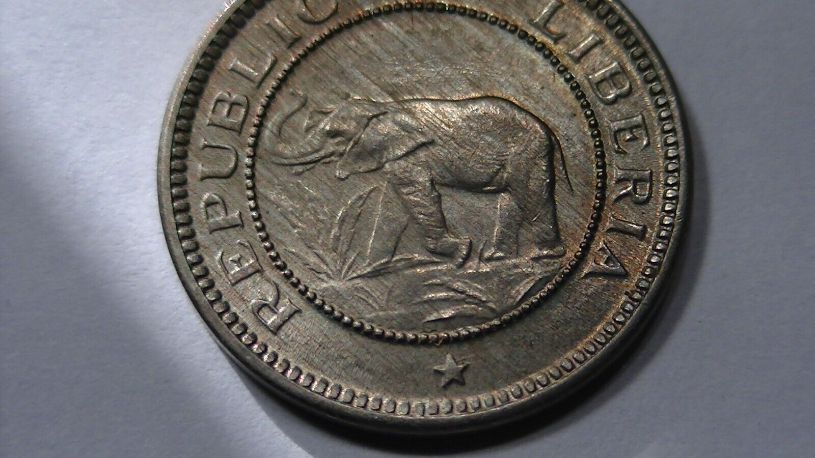 Foto 5 di 15