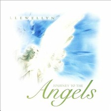 Journey to the Angels Llewellyn {Free P&P Tracked 24}