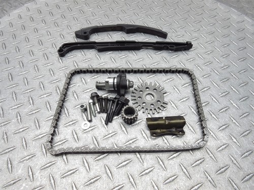 2006 06-07 Kawasaki ZX10R ZX1000 ZX1000D ZX10 Timing Cam Chain Tensioner Rail - Bild 1 von 10