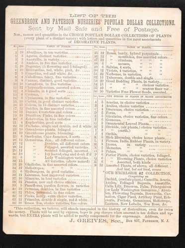 Tarjeta canjeada de calendario 1880 Greenbrook & Paterson guarderías Patterson Nueva Jersey - Imagen 2 de 2