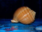 Picture 6 of 7