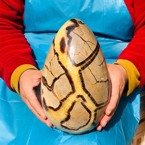 11.11LB Top Natural Dragon Septarian Crystal geode Quartz egg mineral Specimen - Picture 9 of 16