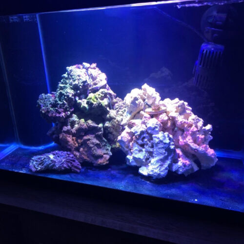LED Aquarium Lighting Bulb Full Spectrum Aquarium Light Bulb PAR38 SPOT 12-54W - Picture 18 of 28
