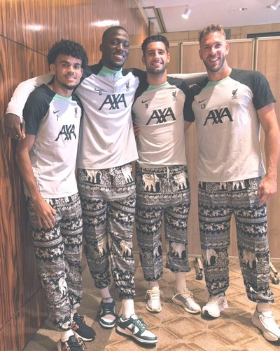 Thai Elefant Hose Harem Yoga Hippie bedruckt Gypsy Unisex Bohemia Freizeit asiatisch - Bild 4 von 32