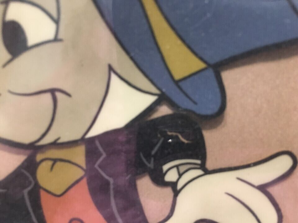 Foto 5 di 8
