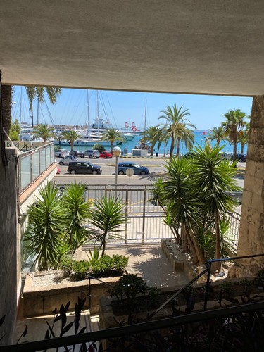 Apartment 1. Linie Mallorca/ Palma, Meerblick/ Kathedralenblick - Bild 16 von 19