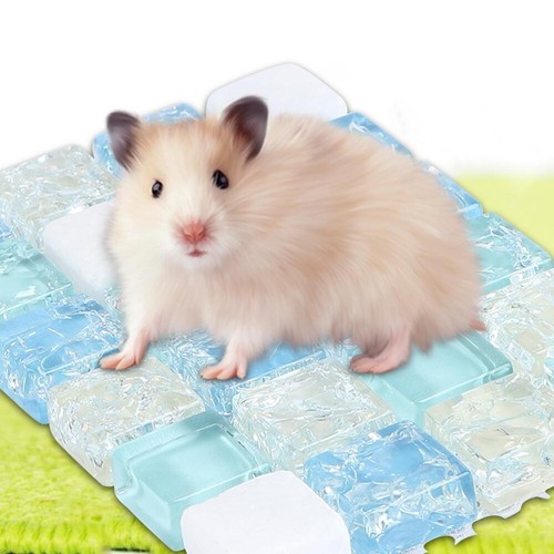 2Pcs Hamster Cage Bedding Removable Cool Cushion Summer Cooling Mat - 第 11/12 張圖片