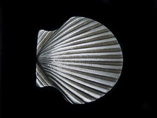 TE07139 VINTAGE 1970s  SEA SHELL  ART FASHION SILVERTONE BELT BUCKLE