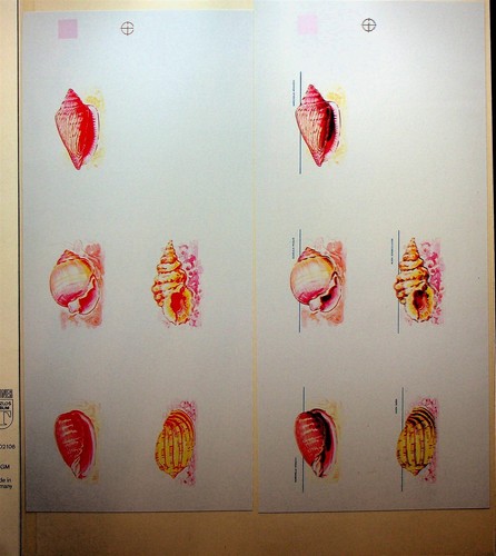 GUINEA Sc 729-37 NH PERF+IMPERF+PROGRESSIVE COLOR PROOFS OF 1977 - SHELLS-(WG25) - Picture 7 of 11