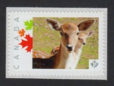 DEER with FAWN = Picture Postage stamps MNH Canada 2015 [p15-11-sn6]